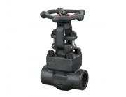 鍛鋼閘閥的顏色為什么通常都是黑色的呢？